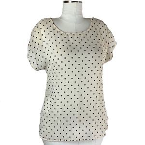 BOBEAU Short Sleeve Ivory Polka Dot Sheer Blouse